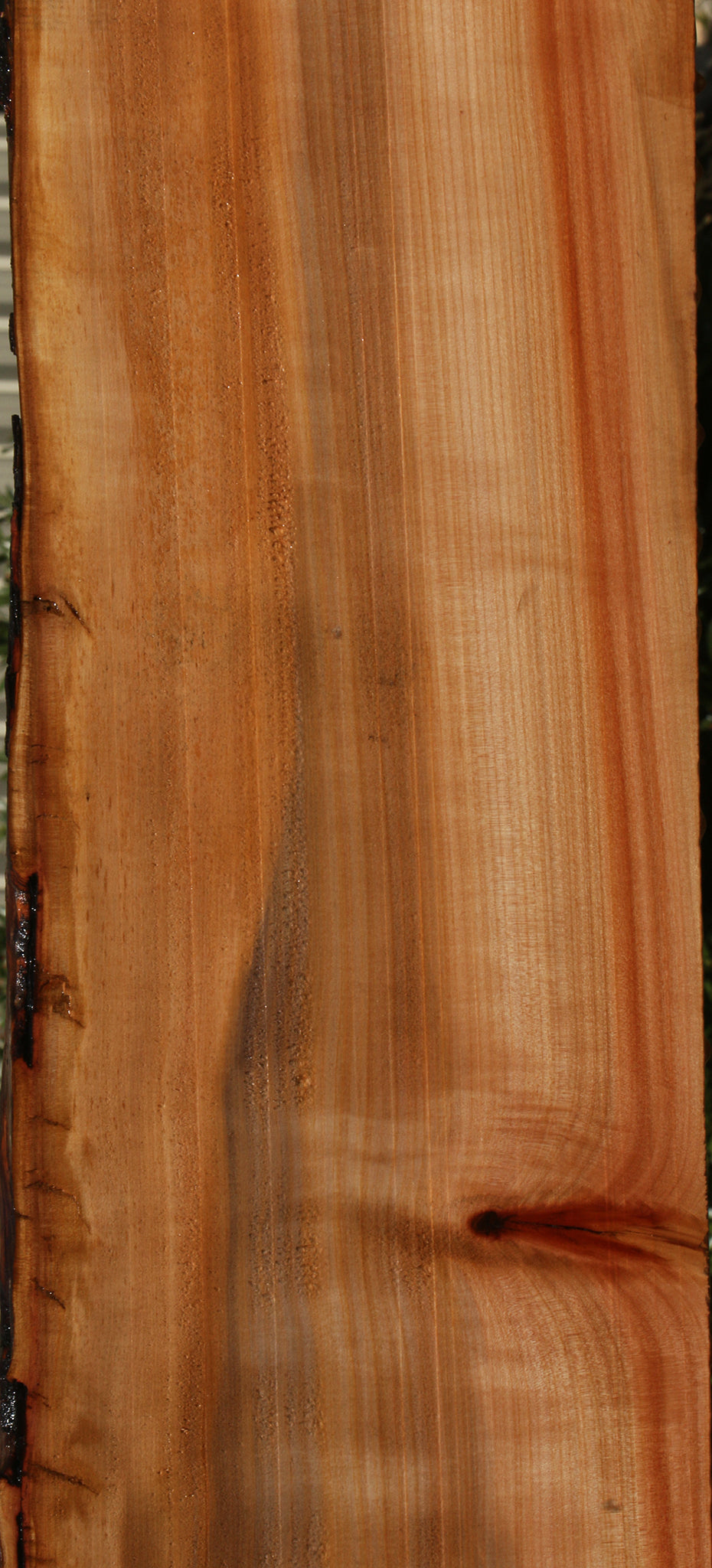 Madrone Live Edge Lumber