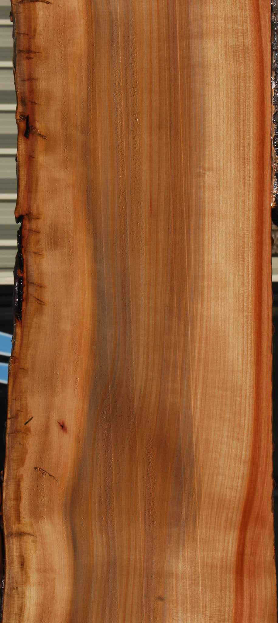 Madrone Live Edge Lumber