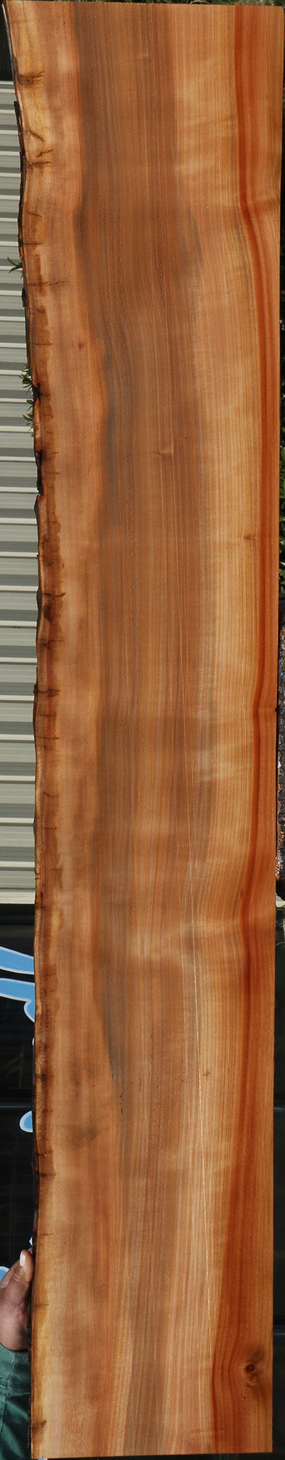 Madrone Live Edge Lumber