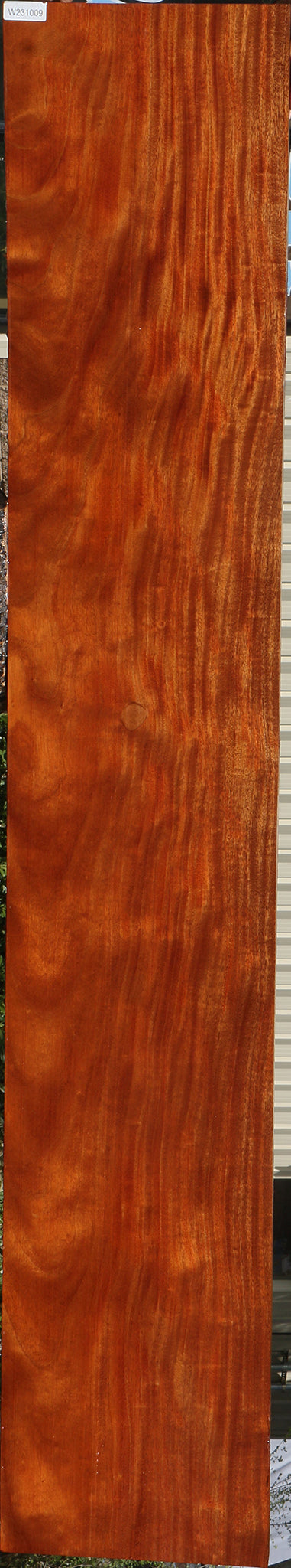 Figured African Mahogany Slab
