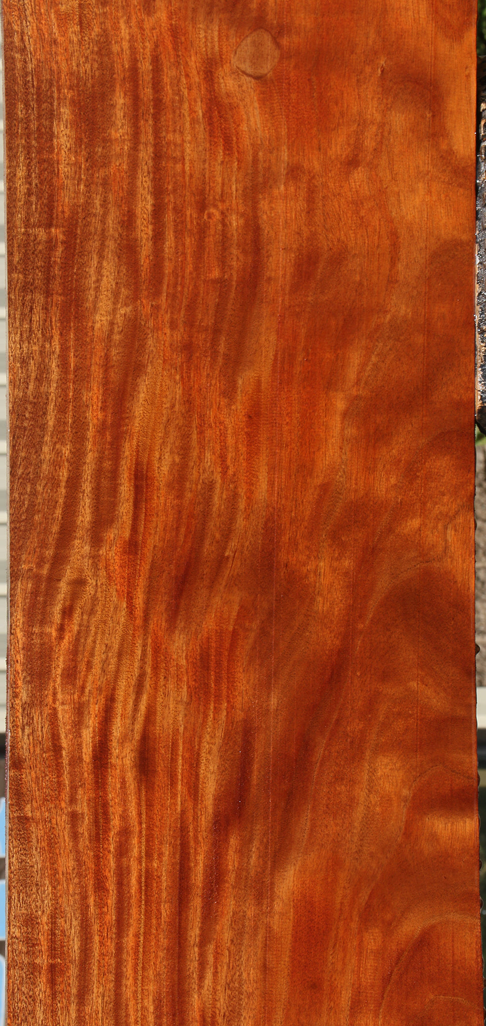 Figured African Mahogany Slab