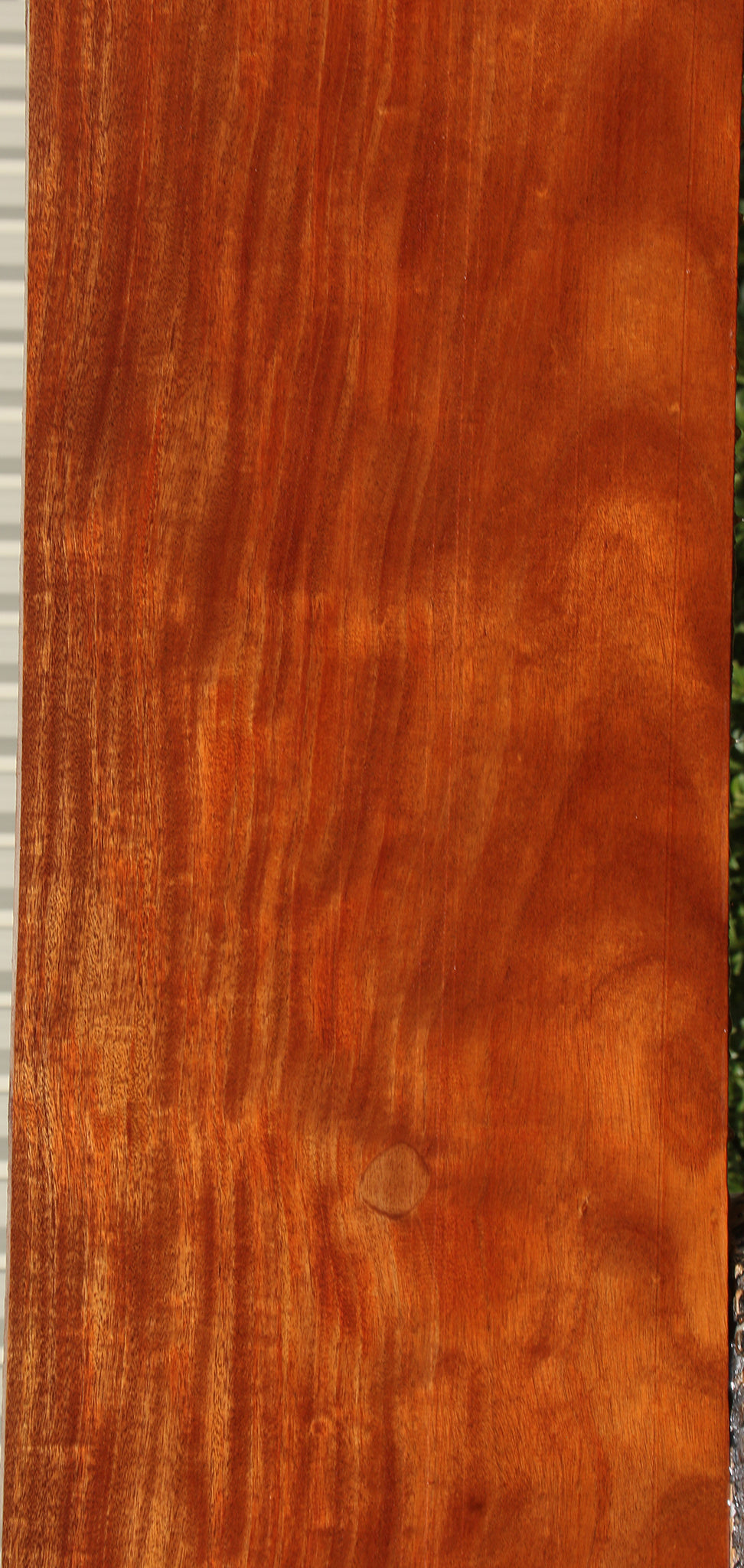 Figured African Mahogany Slab