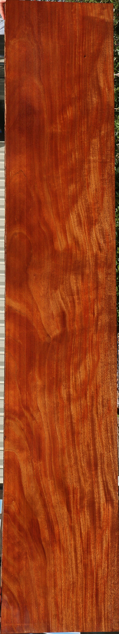 Figured African Mahogany Slab