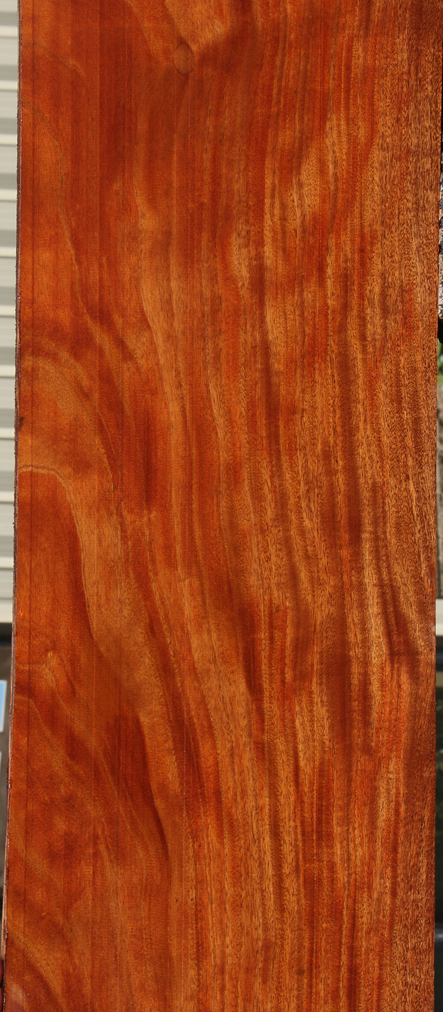 Figured African Mahogany Slab