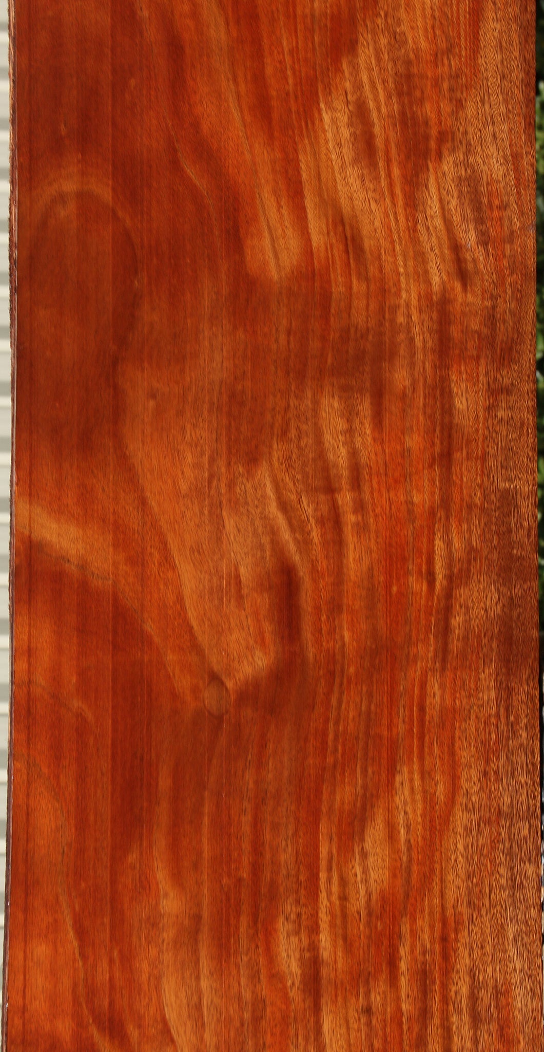 Figured African Mahogany Slab