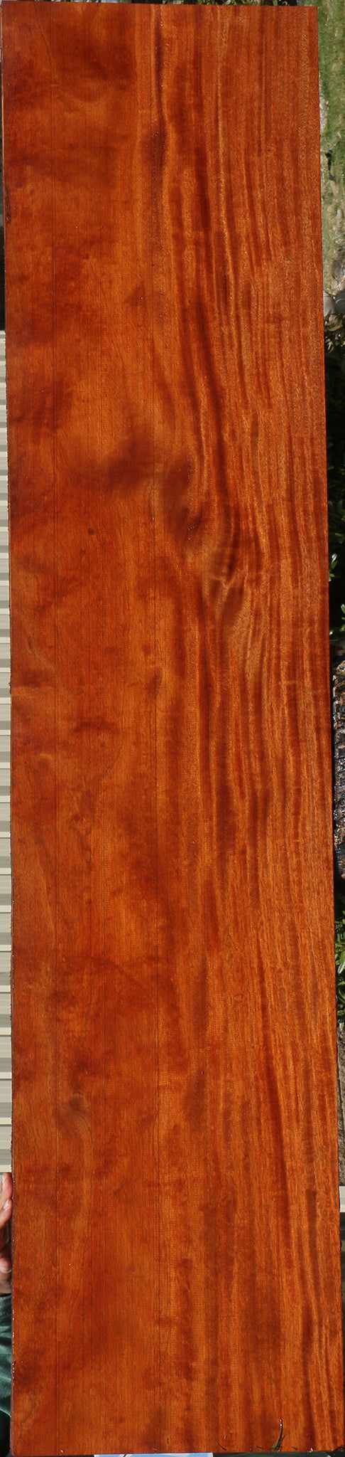 African Mahogany Slab (Free Shipping Excluded)