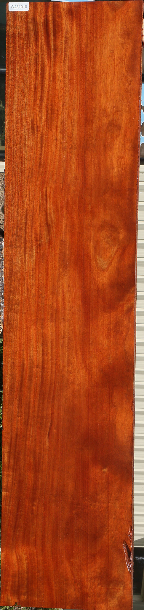 African Mahogany Slab (Free Shipping Excluded)