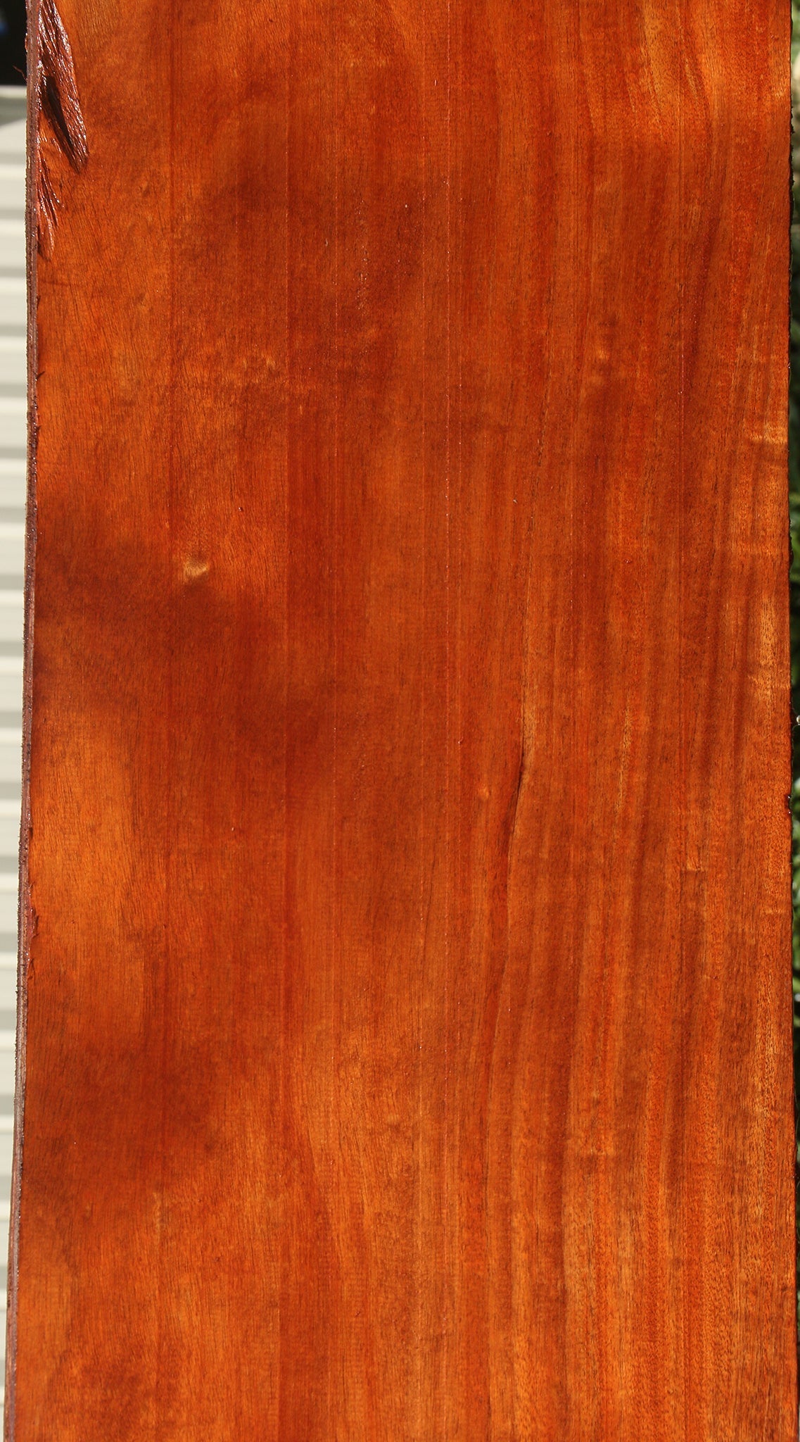 African Mahogany Slab (Free Shipping Excluded)
