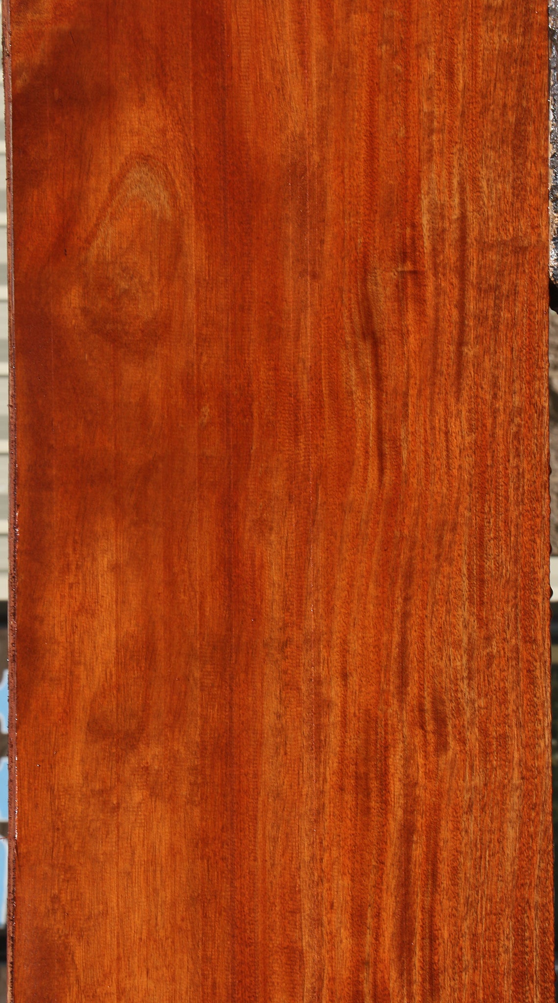 African Mahogany Slab (Free Shipping Excluded)