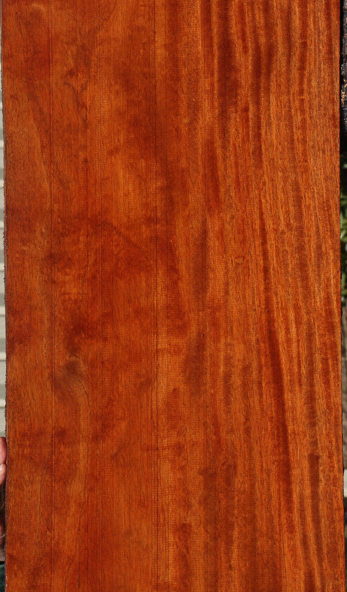 African Mahogany Slab (Free Shipping Excluded)