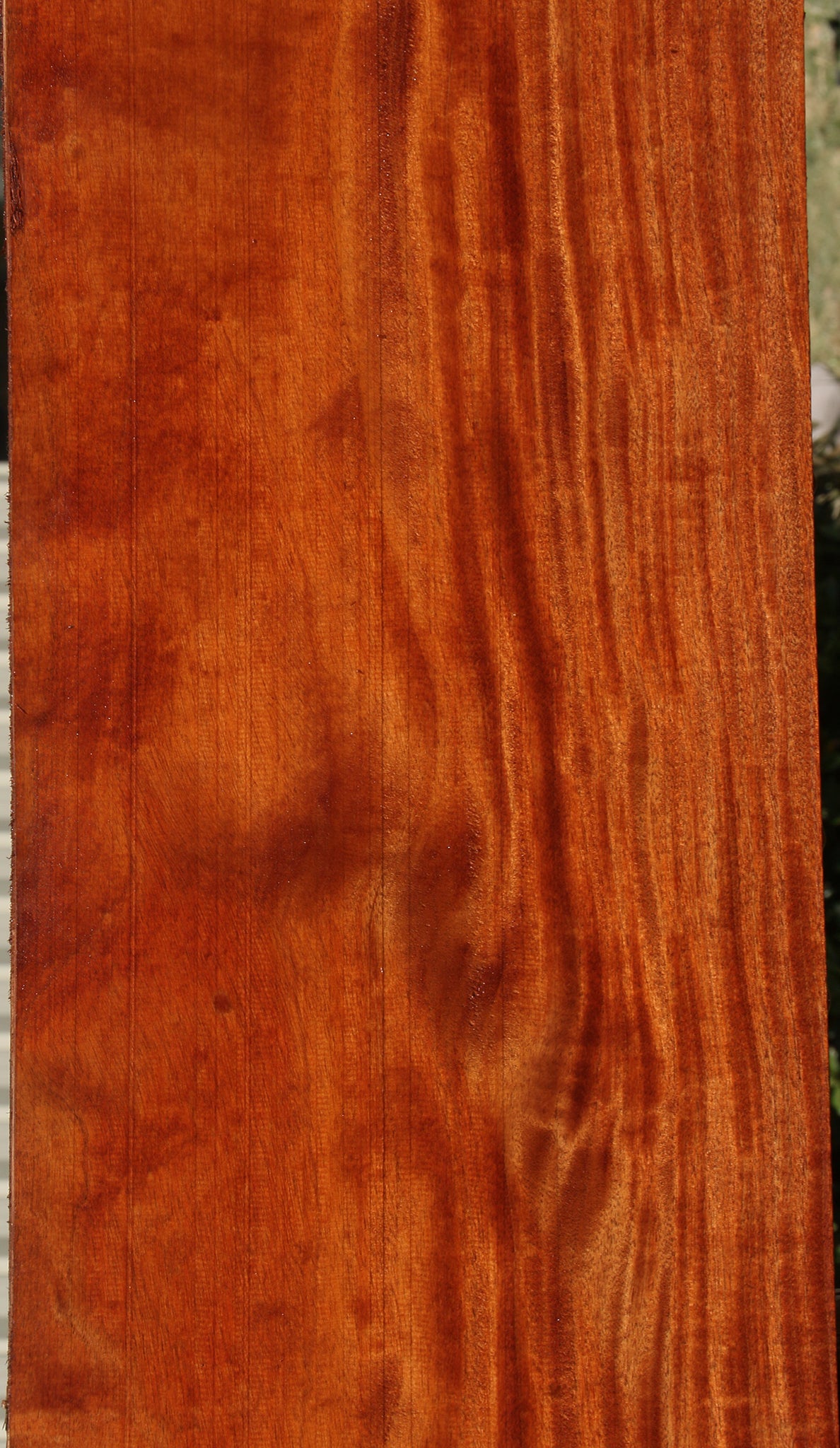 African Mahogany Slab (Free Shipping Excluded)