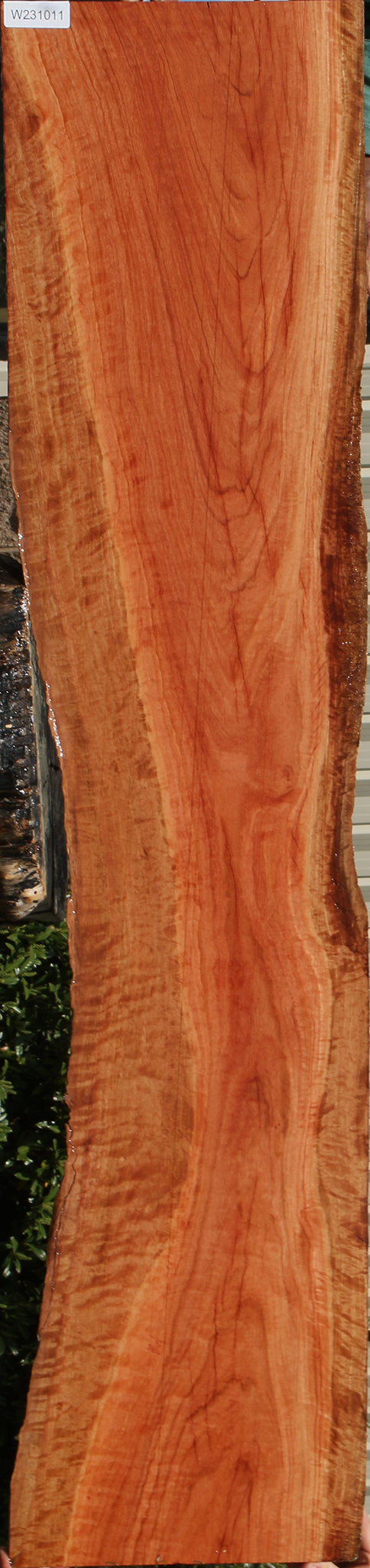 Rustic Red Ironbark Live Edge Lumber