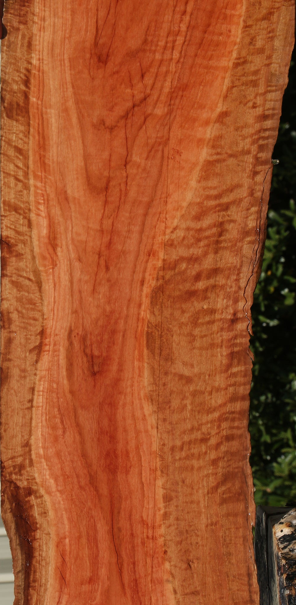 Rustic Red Ironbark Live Edge Lumber