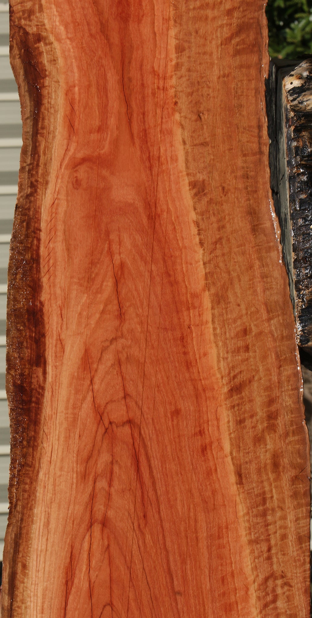 Rustic Red Ironbark Live Edge Lumber – Cook Woods
