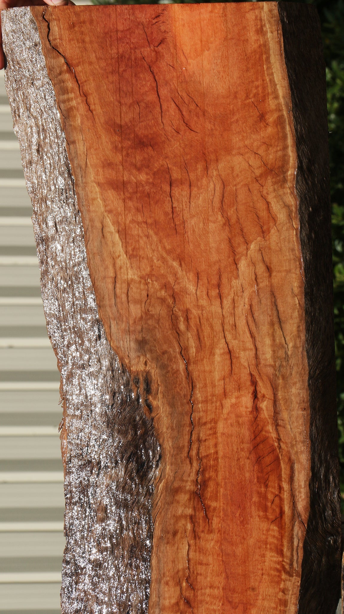 Rustic Red Ironbark Live Edge Lumber