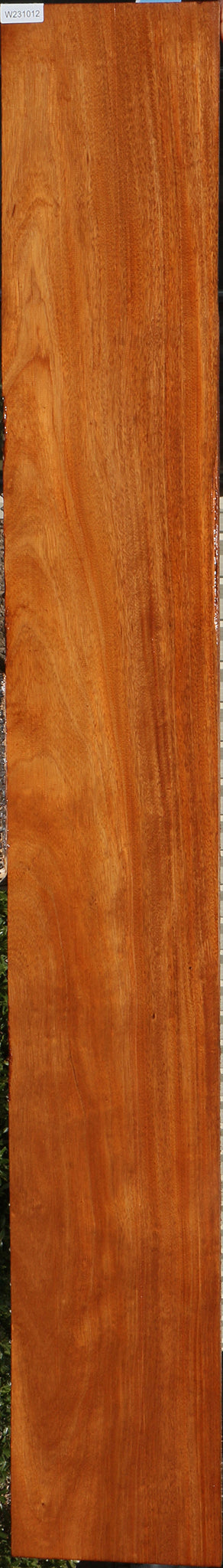 African Mahogany Slab (Free Shipping Excluded)