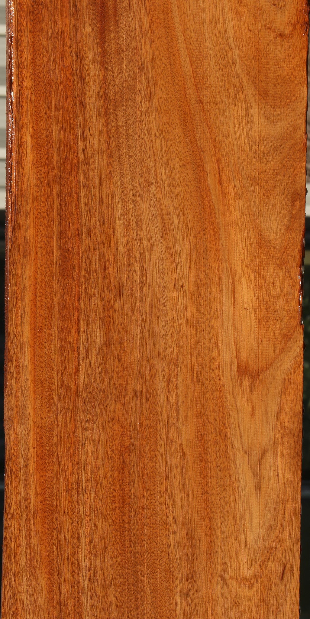 African Mahogany Slab (Free Shipping Excluded)