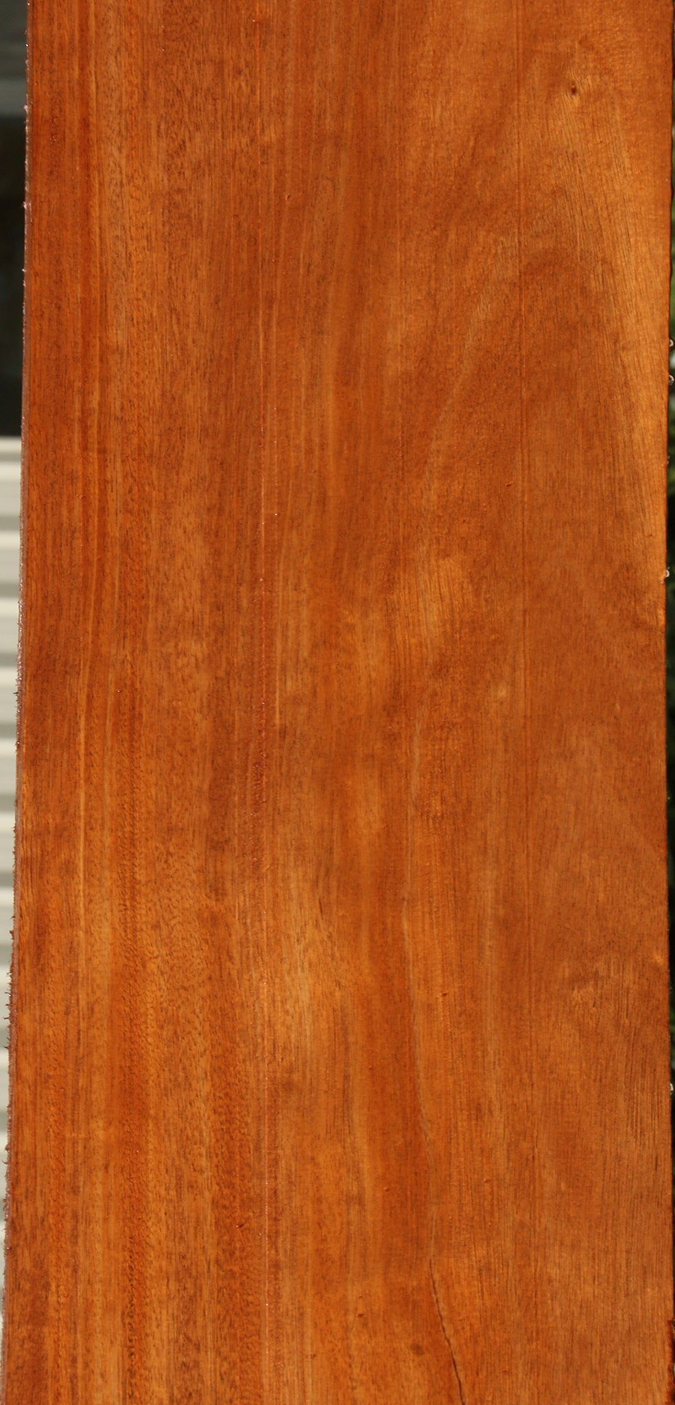 African Mahogany Slab (Free Shipping Excluded)