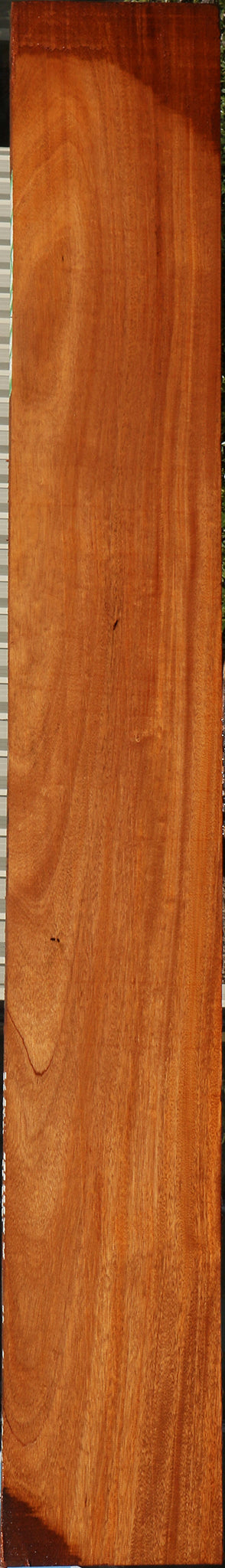 African Mahogany Slab (Free Shipping Excluded)