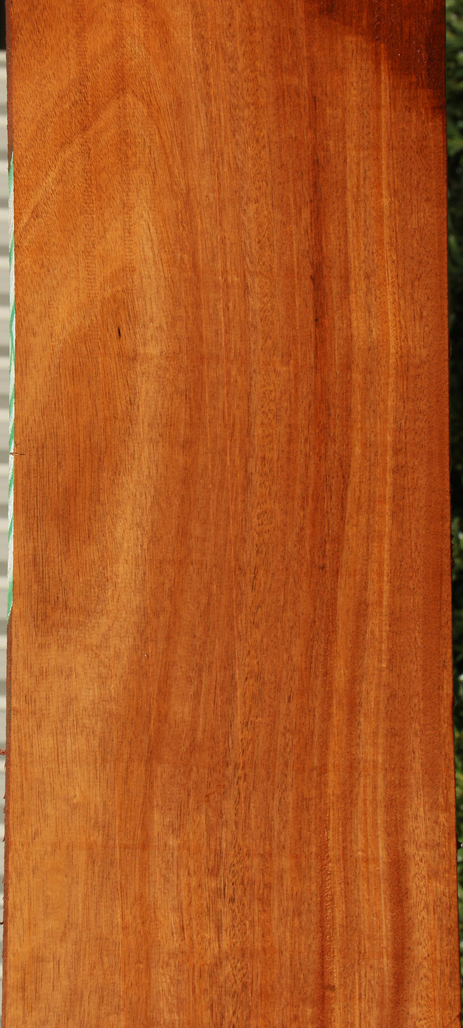 African Mahogany Slab (Free Shipping Excluded)