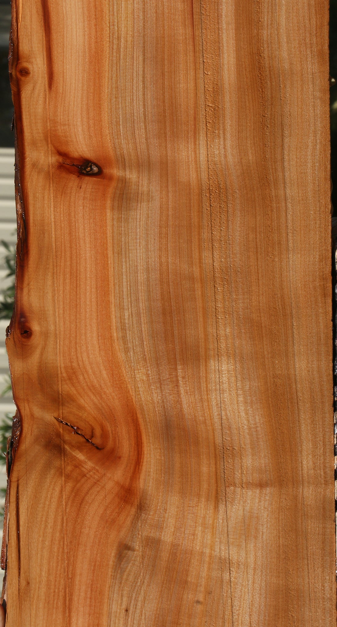 Quartersawn Madrone Live Edge Lumber
