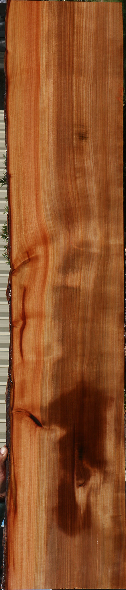 Quartersawn Madrone Live Edge Lumber