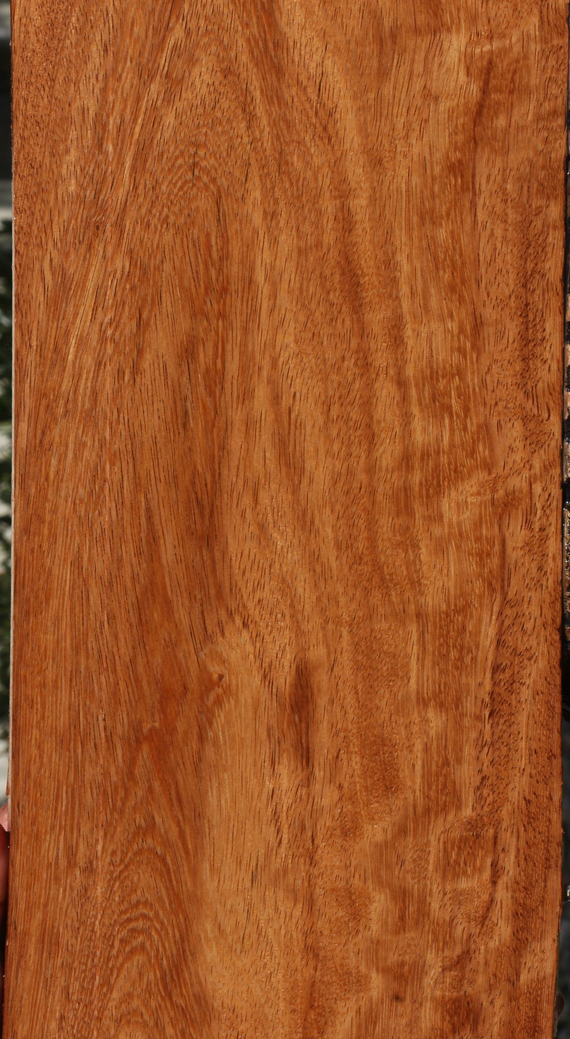 Figured Mansonia Lumber