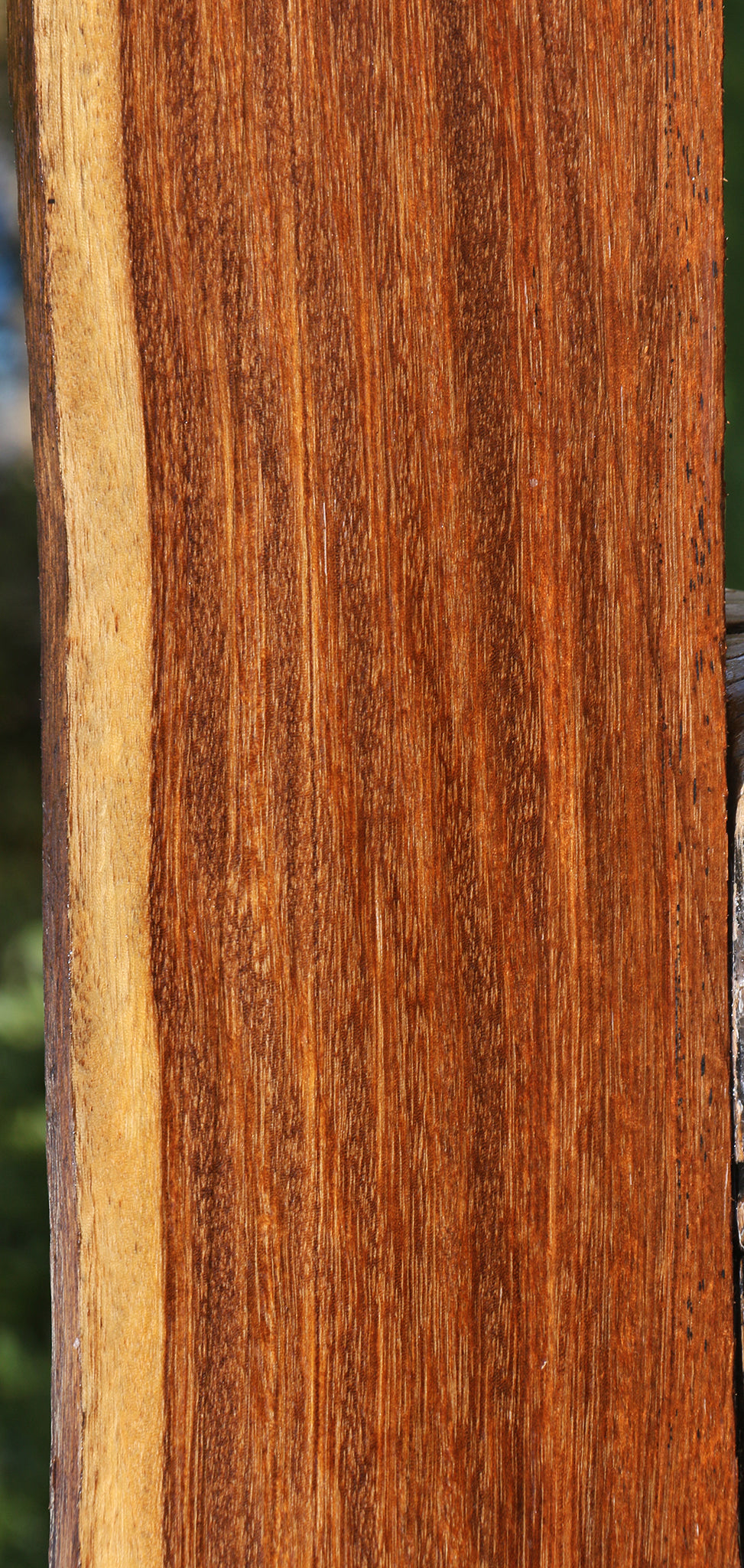 Figured Sucupira Live Edge Lumber