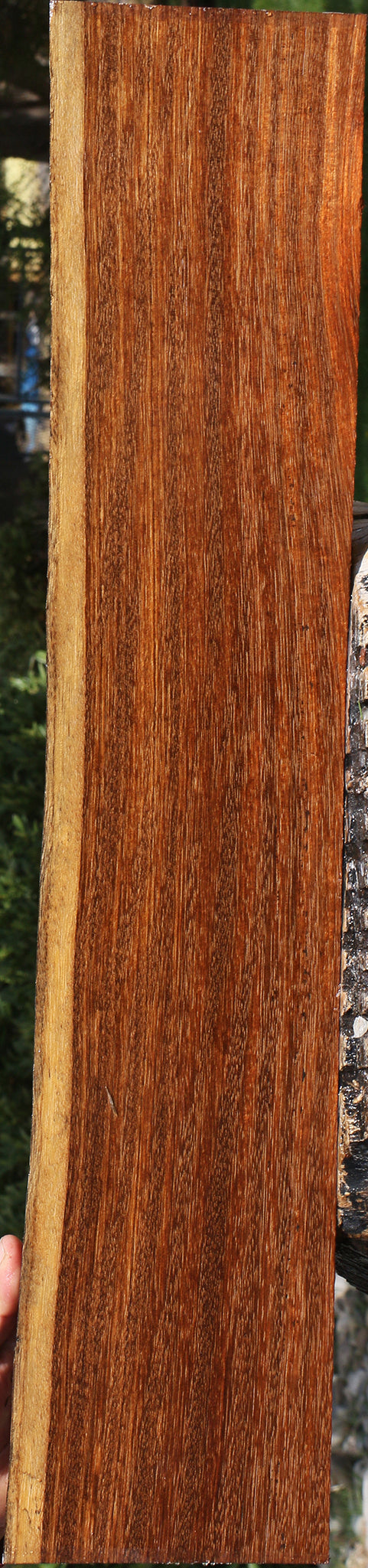 Figured Sucupira Live Edge Lumber