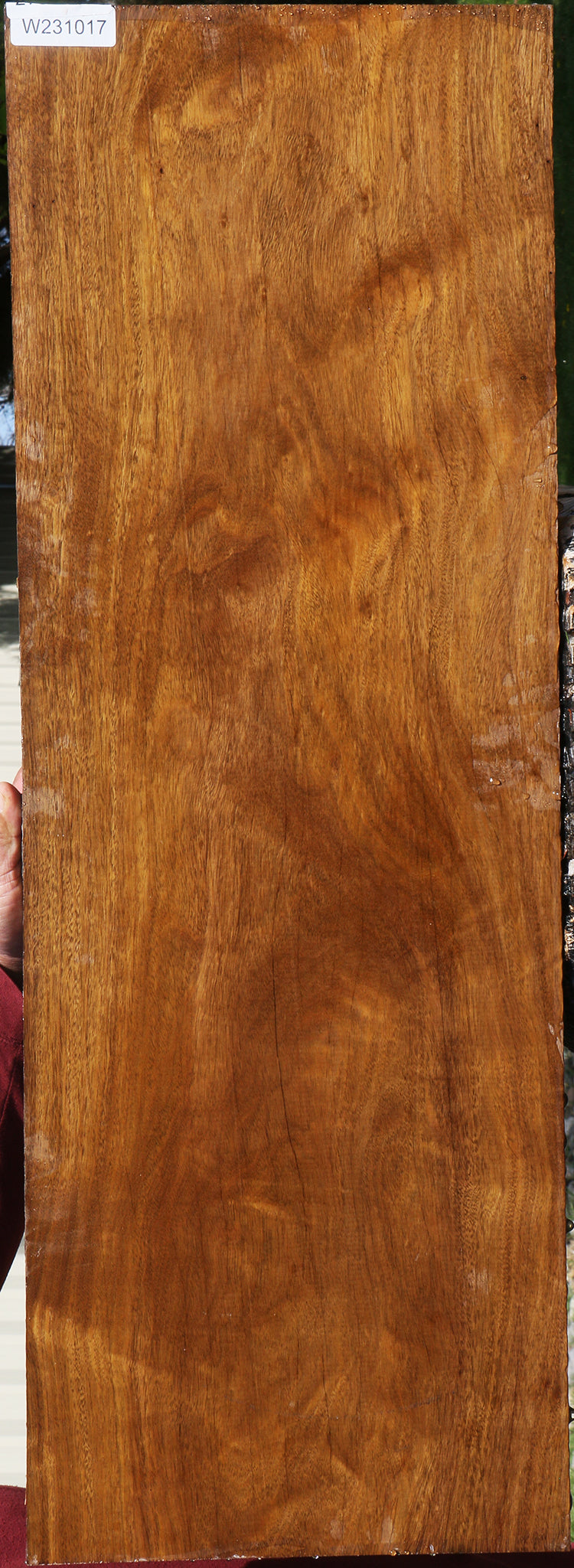 Figured Bloodwood Lumber
