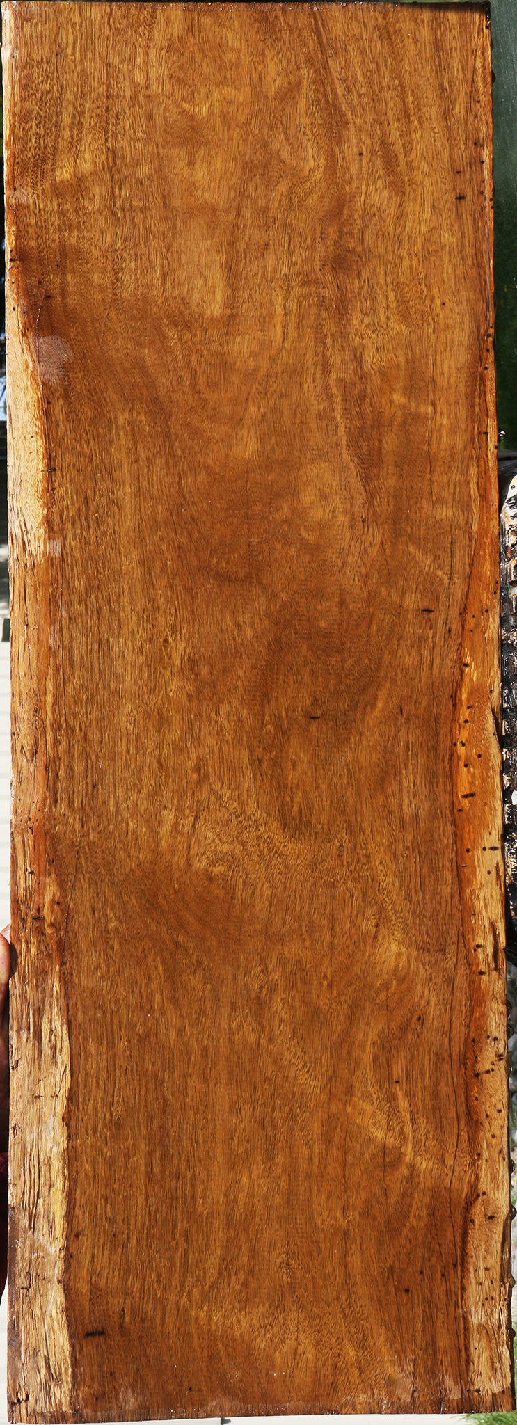 Figured Bloodwood Lumber