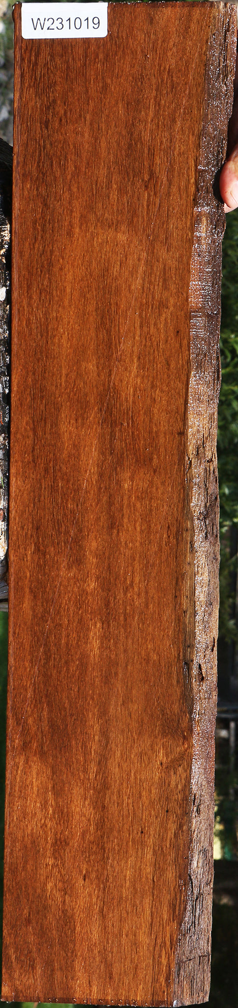 Sucupira Live Edge Lumber