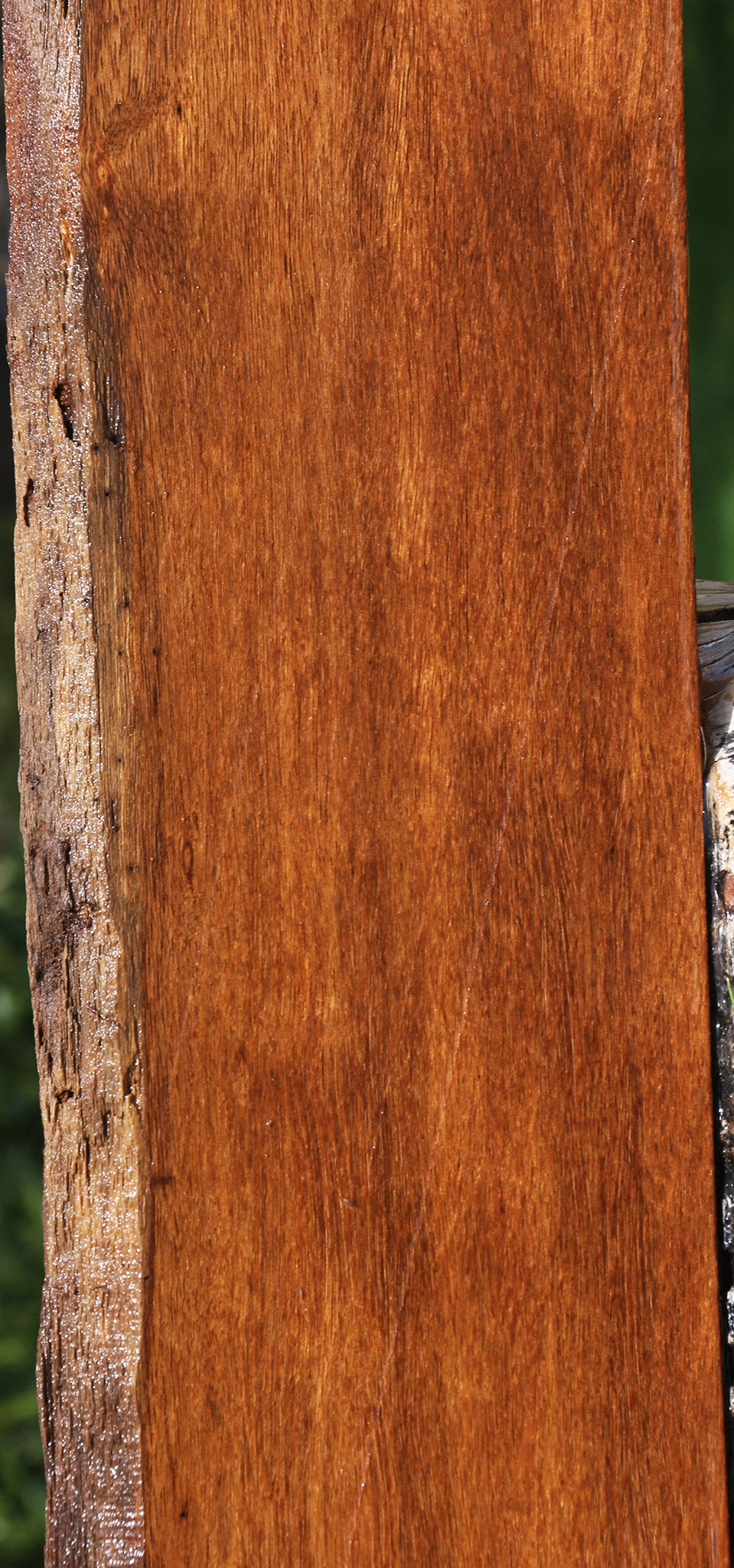 Sucupira Live Edge Lumber