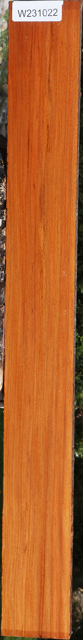 Angelim Pedra Lumber