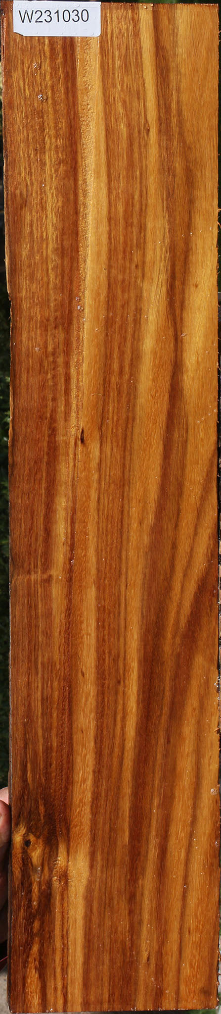 Bloodwood Live Edge Lumber