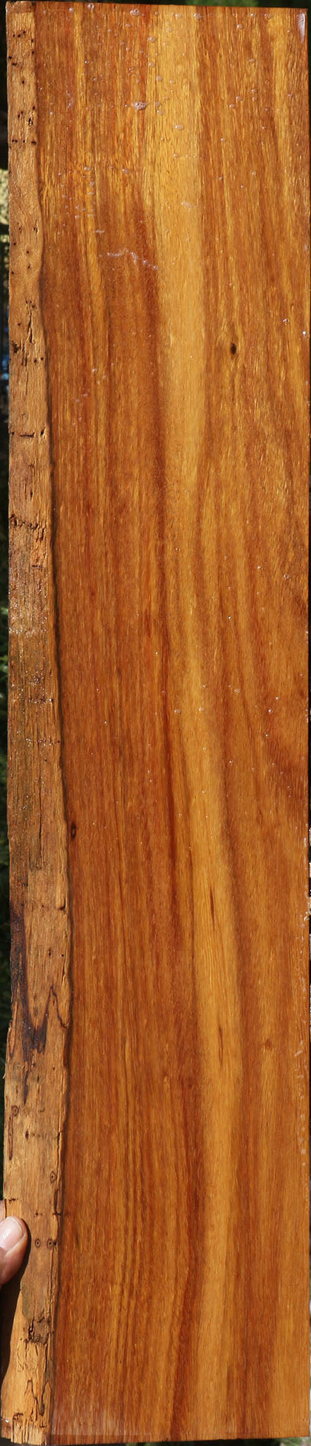 Bloodwood Live Edge Lumber