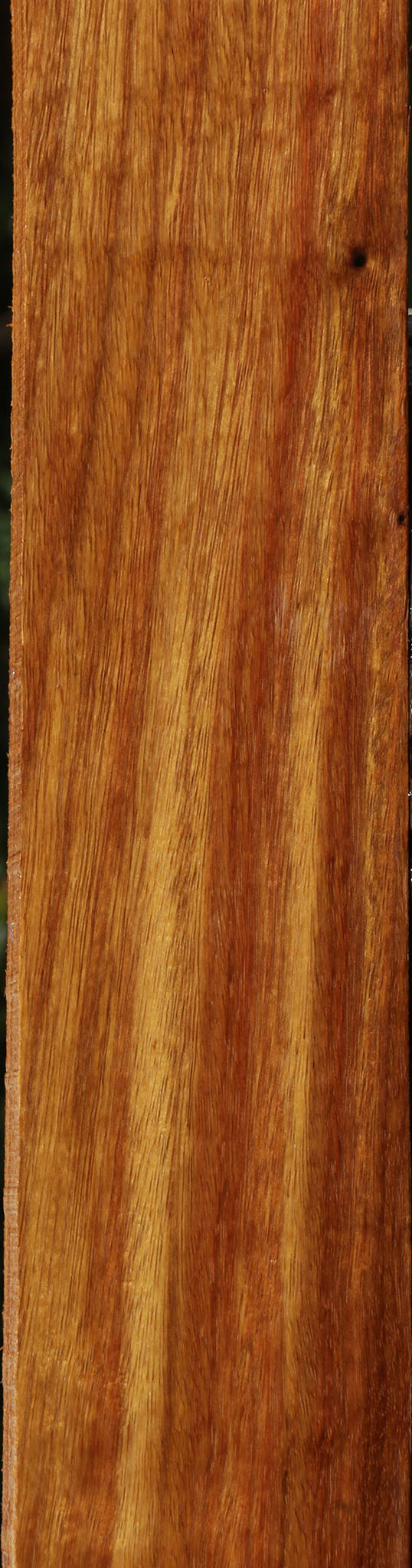 Bloodwood Lumber