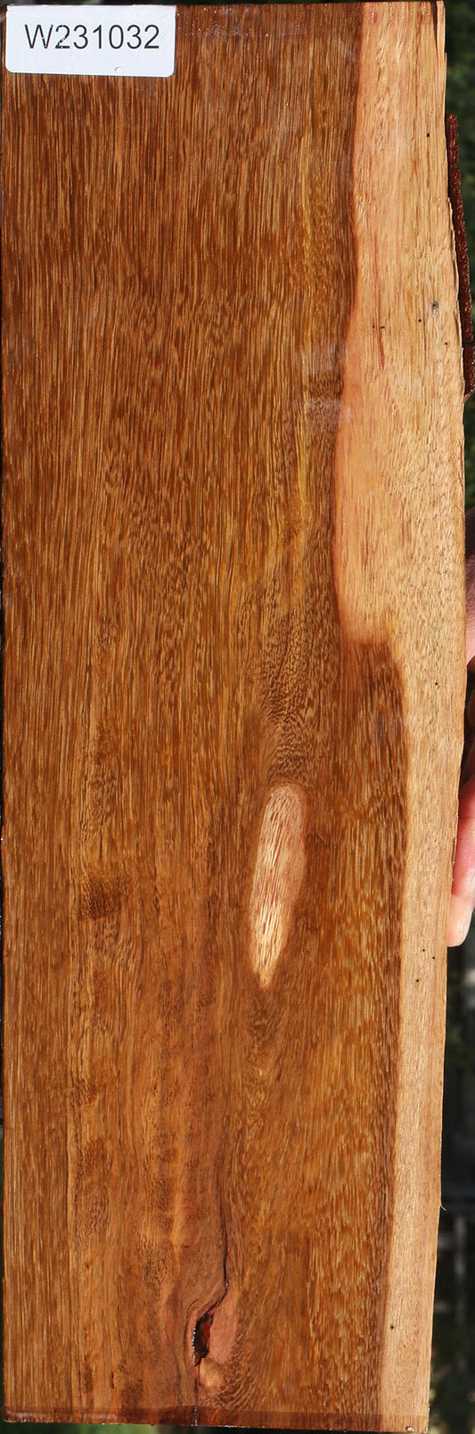 Rustic Sucupira Live Edge Lumber