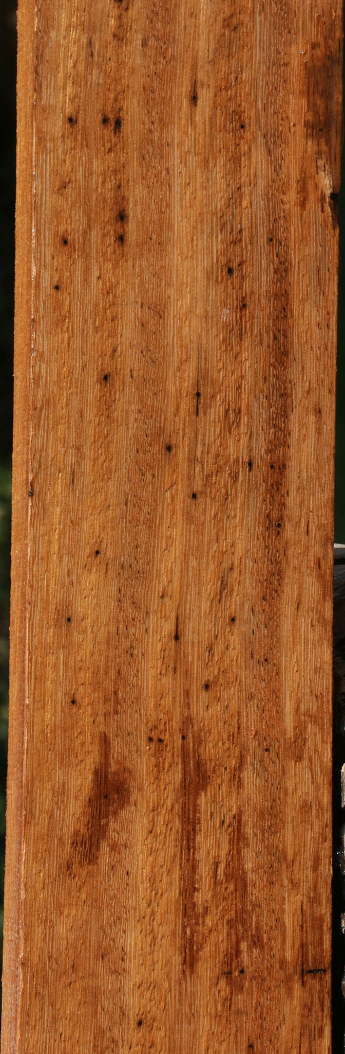 Sucupira Lumber