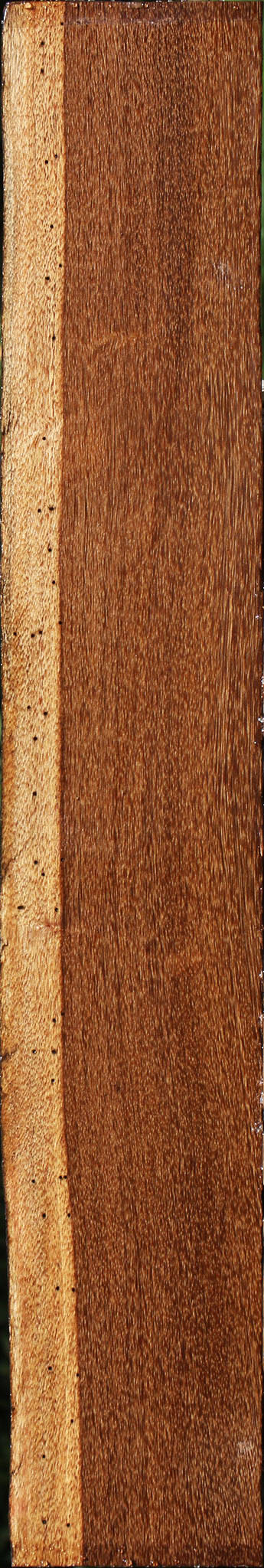 Sucupira Live Edge Lumber