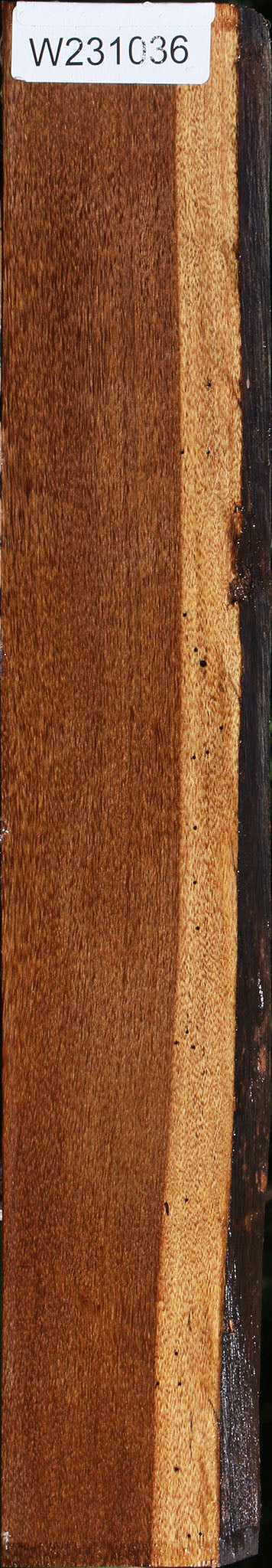 Sucupira Live Edge Lumber