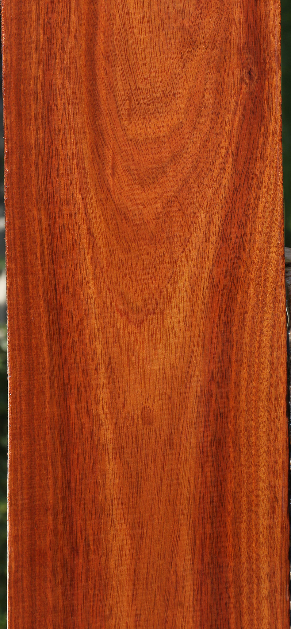 Bloodwood Lumber