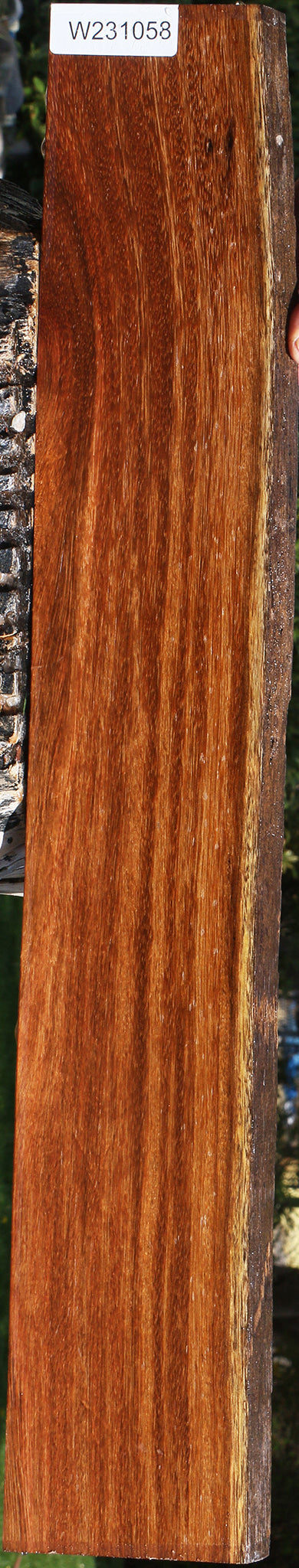 Sucupira Live Edge Lumber