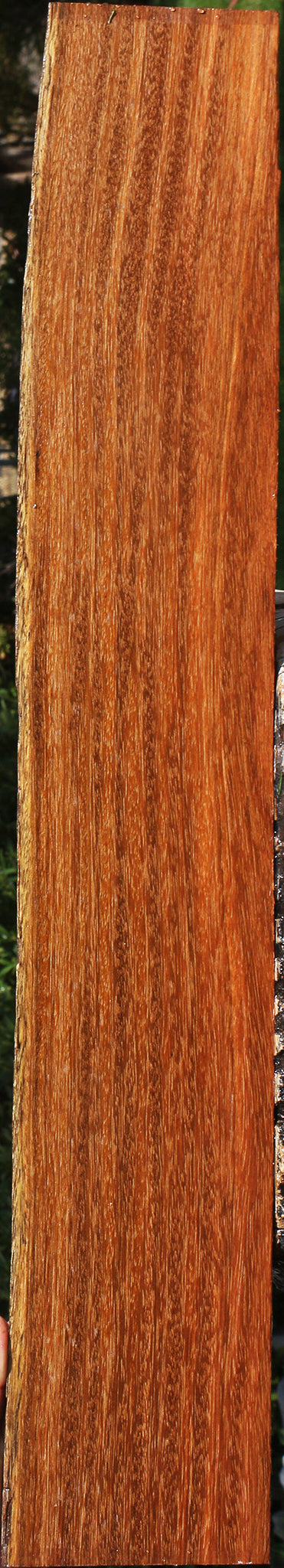 Sucupira Live Edge Lumber