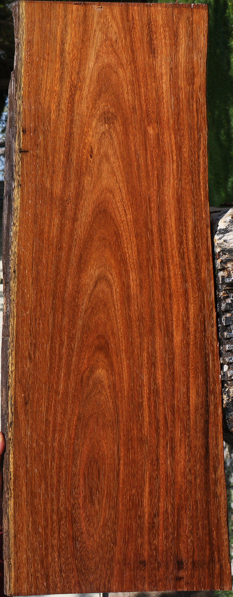 Sucupira Live Edge Lumber