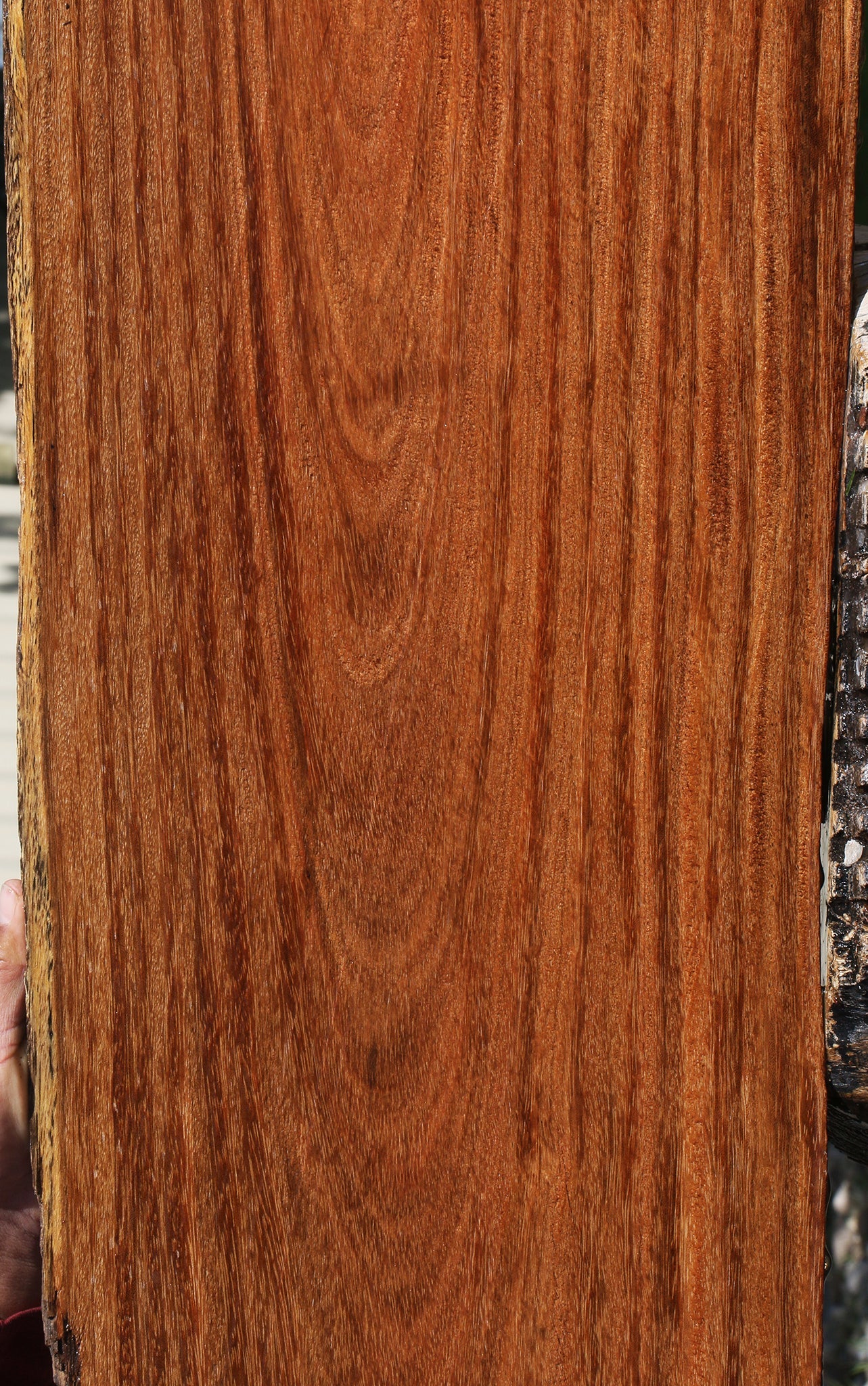 Sucupira Live Edge Lumber