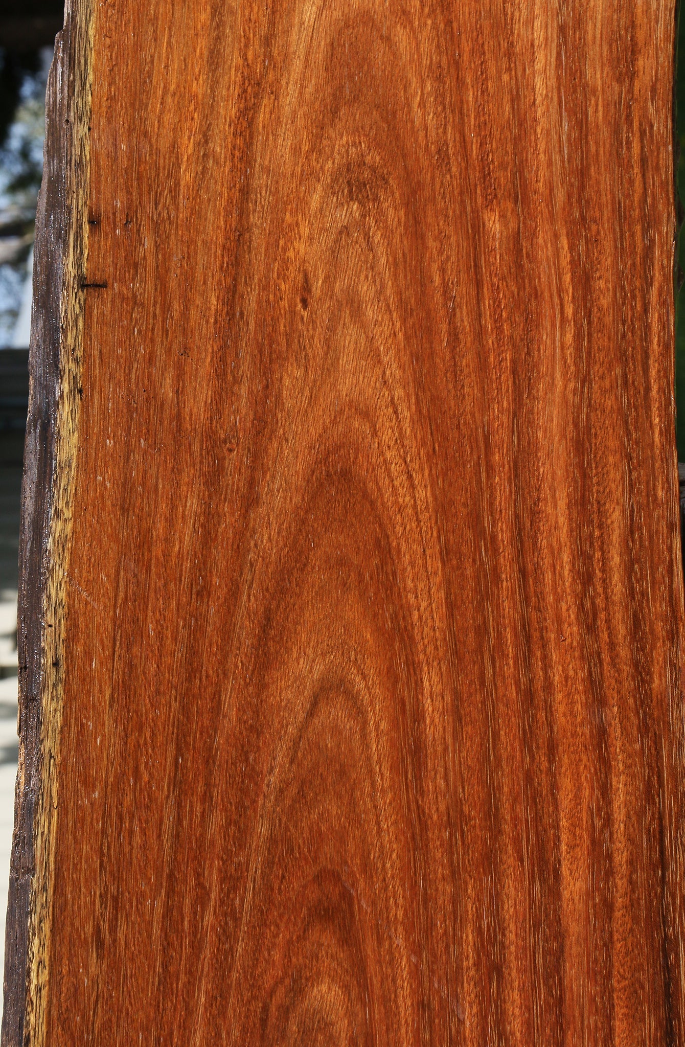 Sucupira Live Edge Lumber