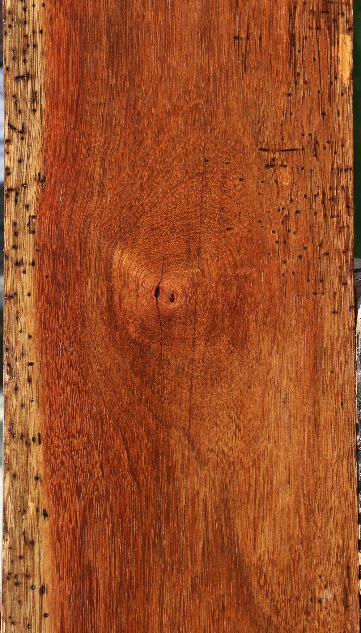 Rustic Sucupira Lumber