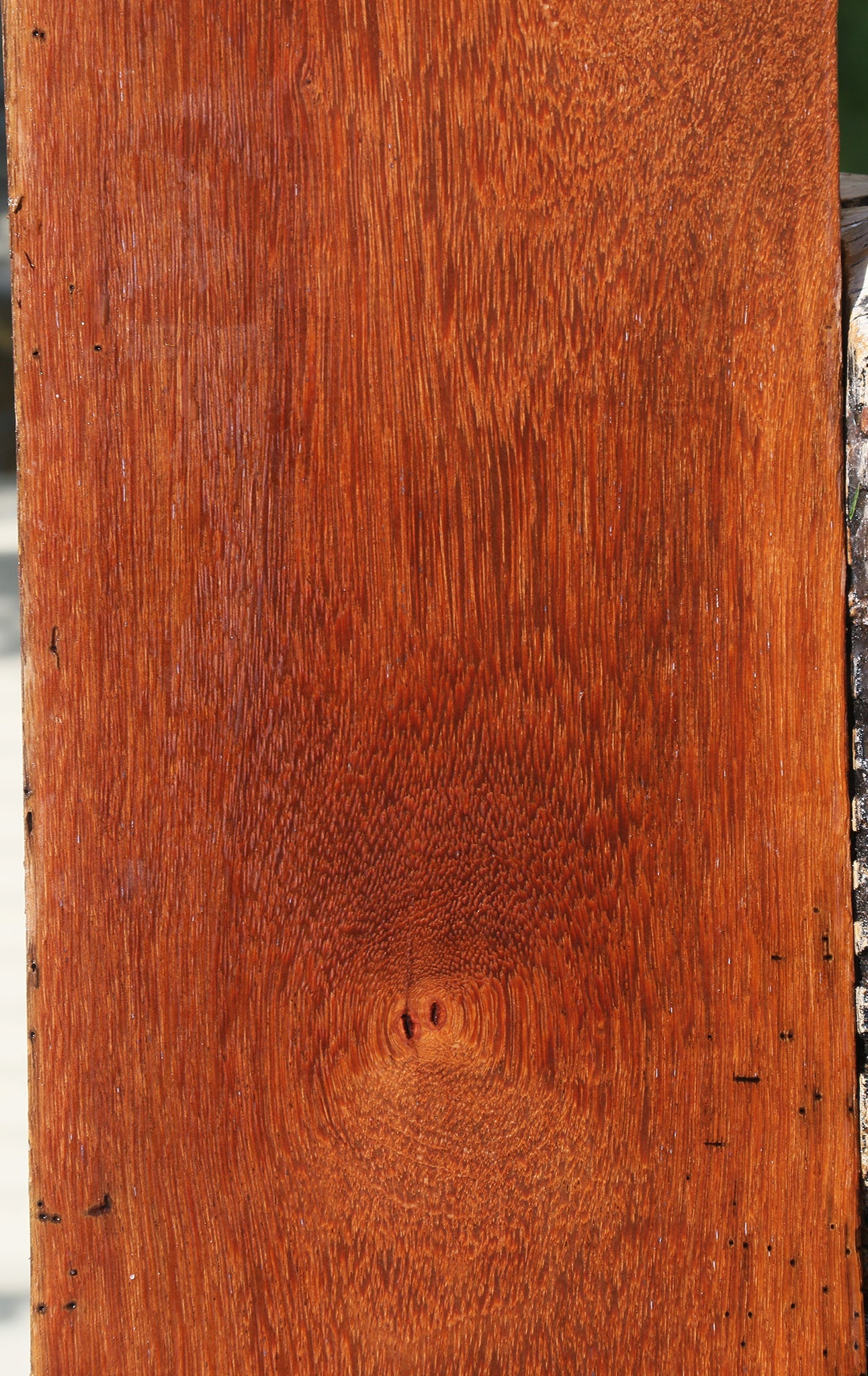 Rustic Sucupira Lumber