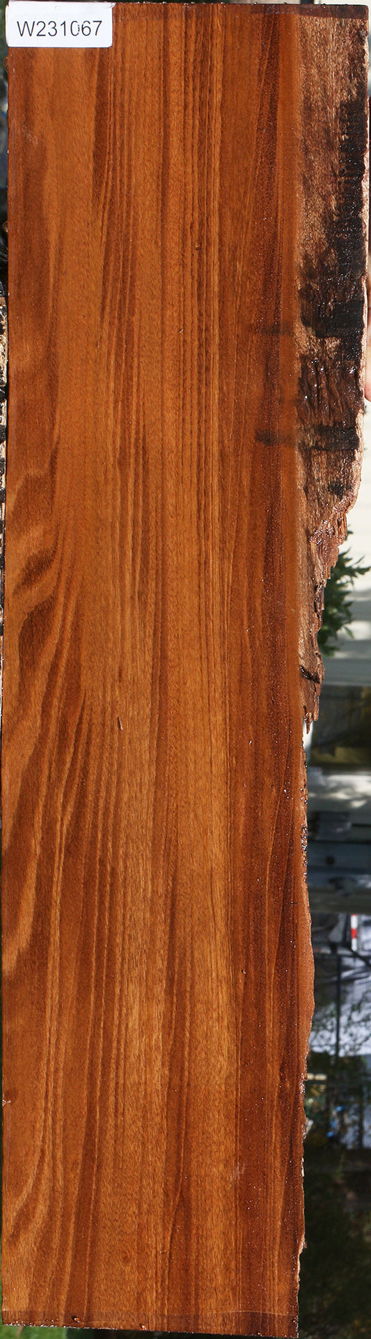 Angelim Pedra Live Edge Lumber